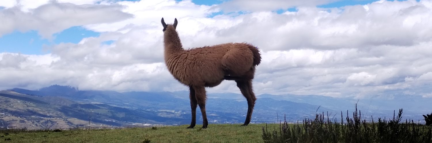 Enrique Cabanilla banner