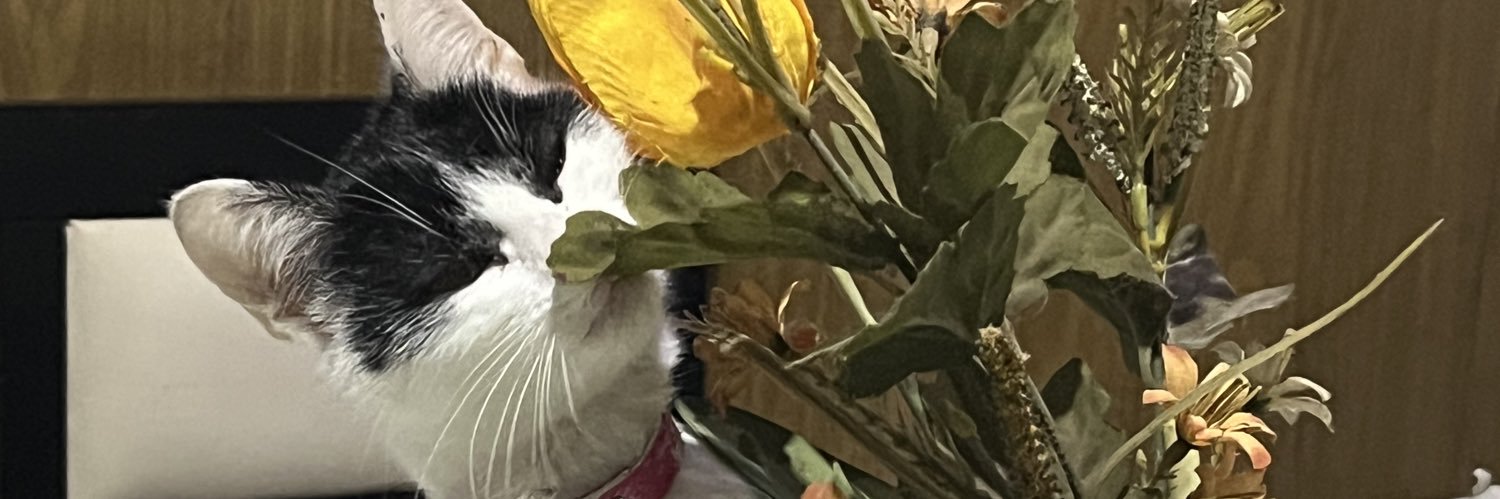 larimenendez's profile banner image