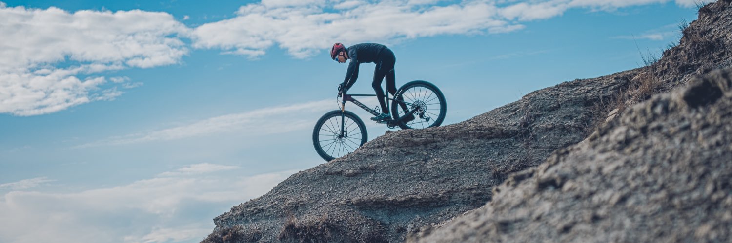 Francesc Guerra banner