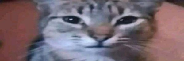 Peight169636 Profile Banner