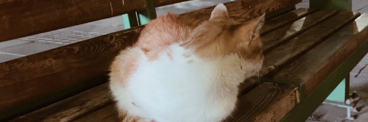 bbozclk's profile banner image