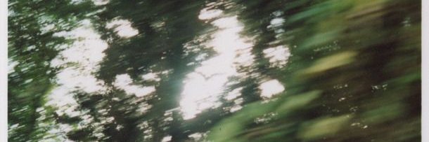 hylikooo's profile banner image