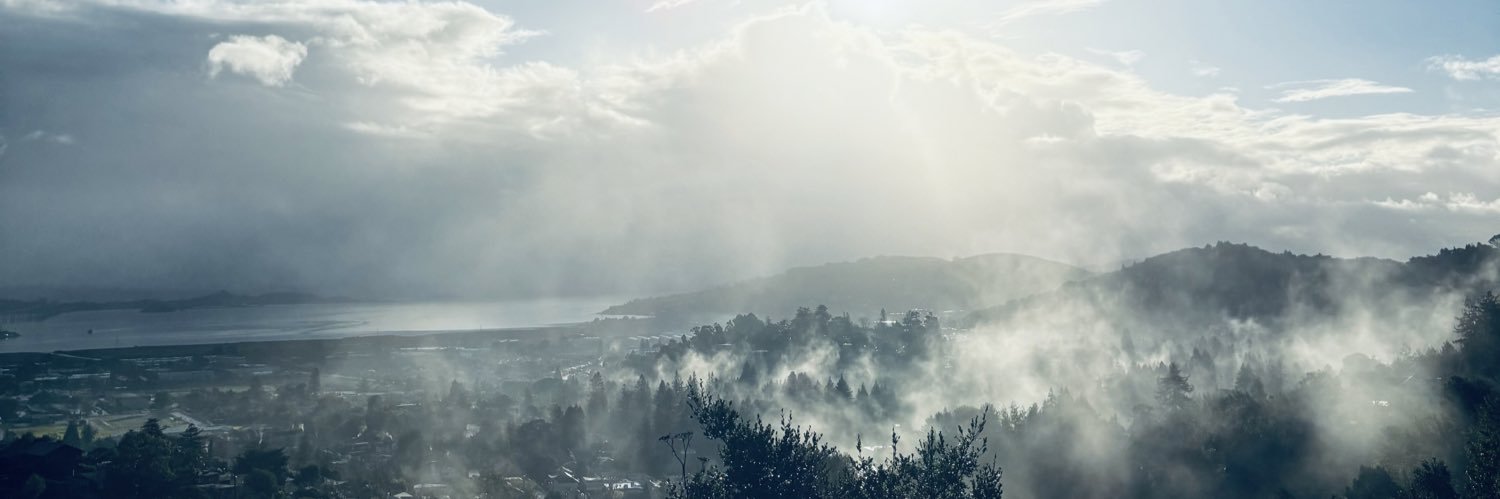 Freya Petersen banner