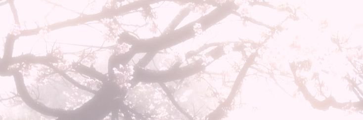 semuoioadesso's profile banner image