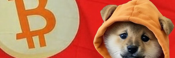 Dippy $DOG's banner