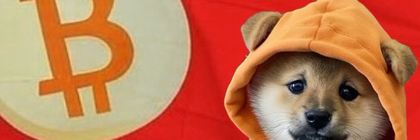 SnowyReflection Profile Banner