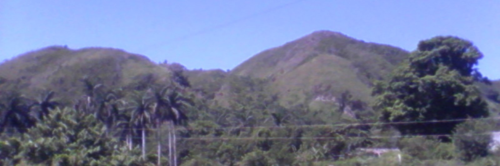 Yaniel banner