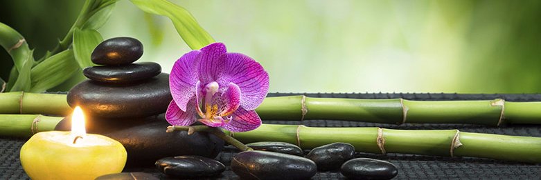 Avocado_Beauty's profile banner image