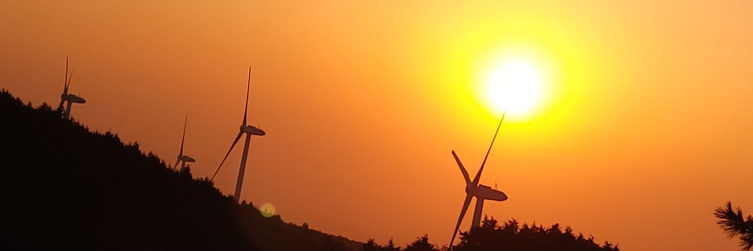 キタキツネ banner