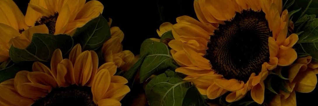 Anthea banner