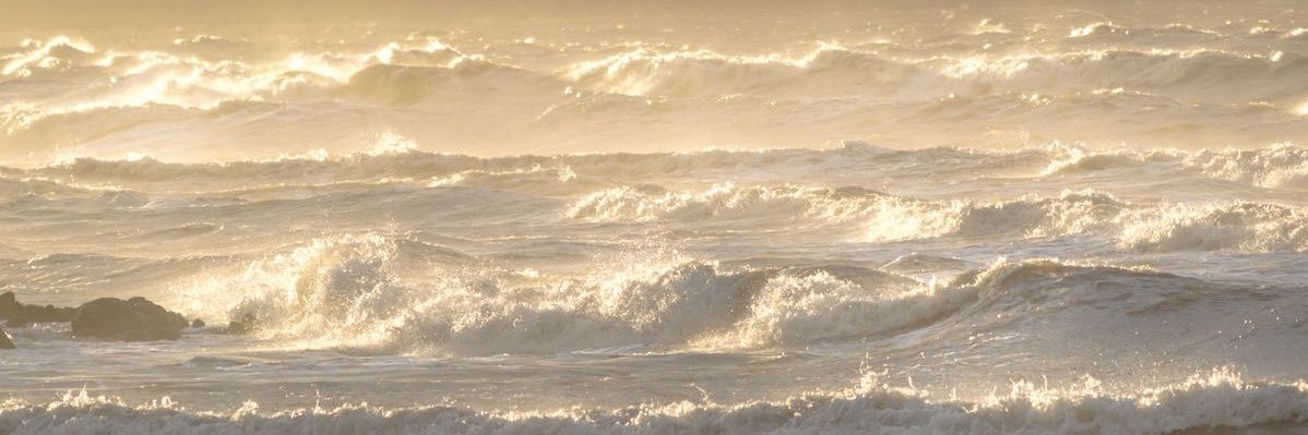_RainKiss's profile banner image