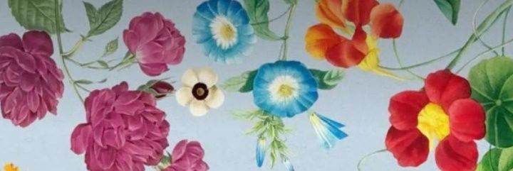☄️🌼 • banner