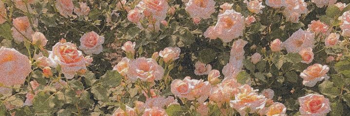 恐竜🦕 banner