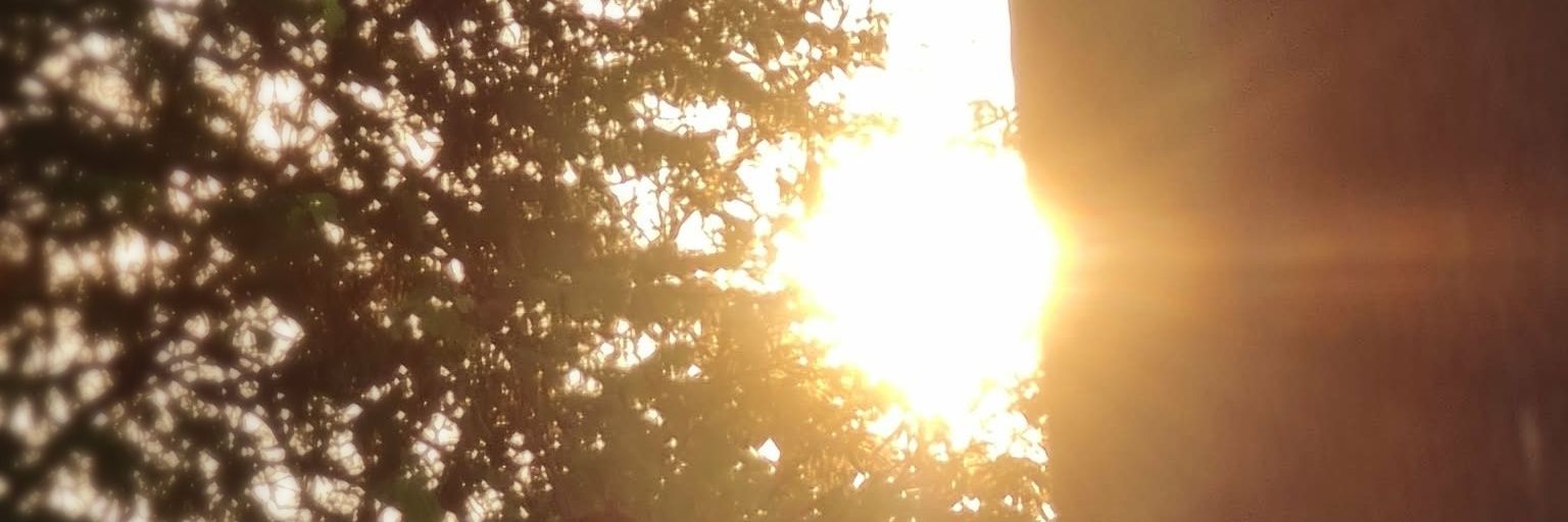 🎀Sutiny🫧 banner