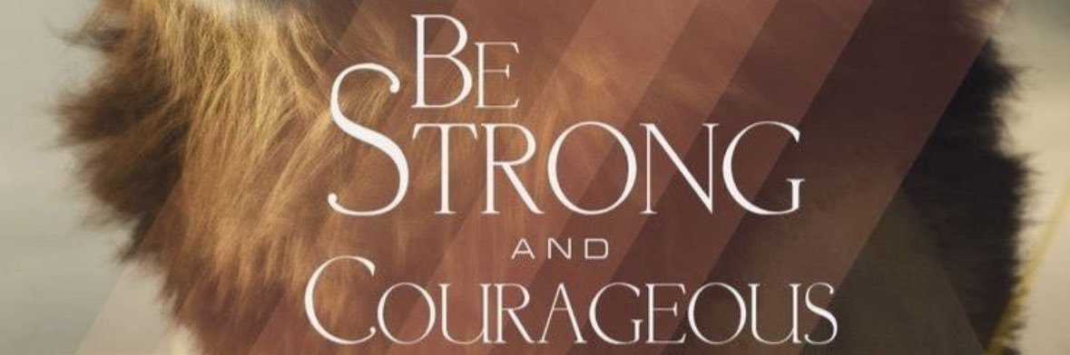 ネコマム🙏🏻🤗 banner