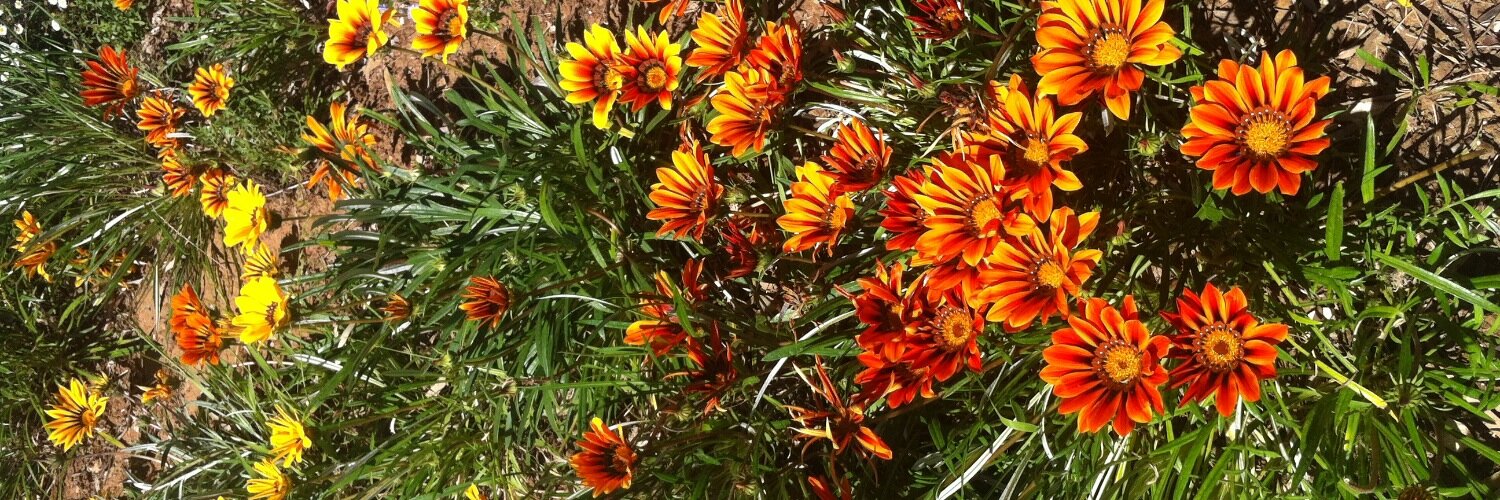 Karin Rönnerman banner