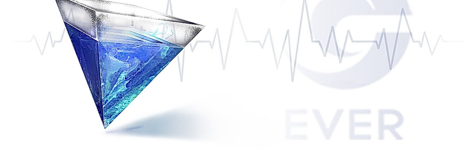 EVER GROUP banner