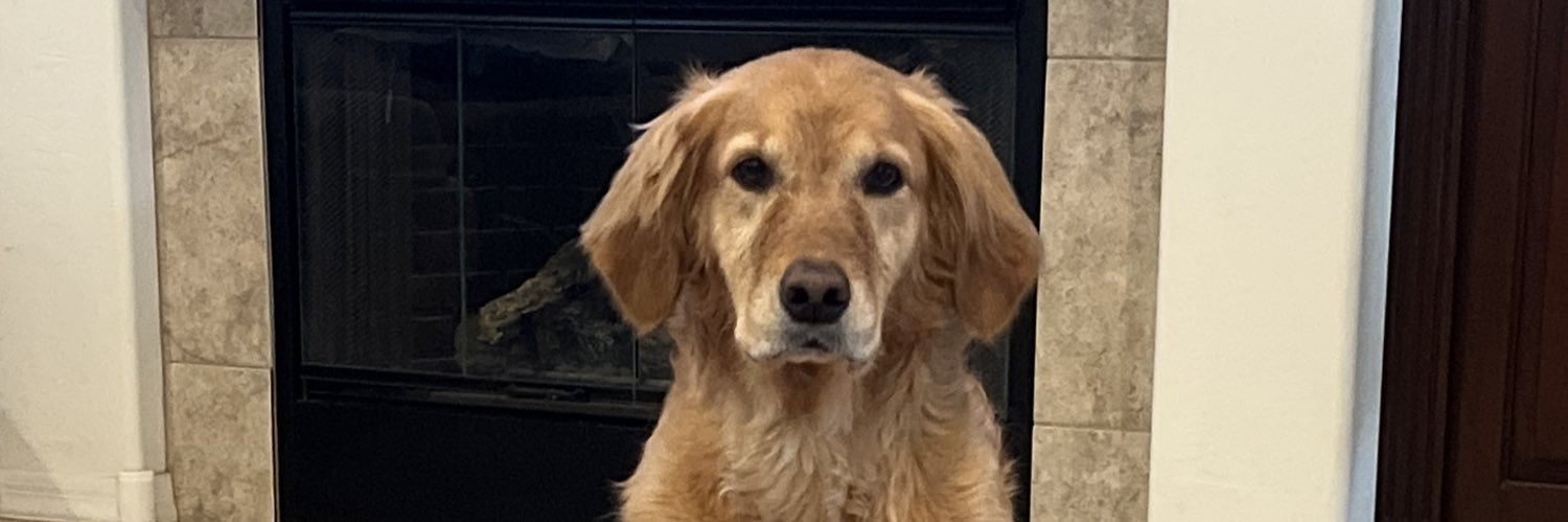 Dustin Rayhorn banner