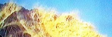 First Pakistan ❤️ banner