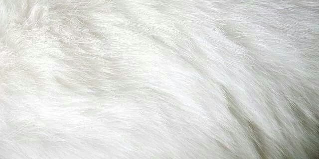 dnsdekker's profile banner image