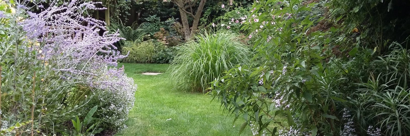 Neil Boom 🌻 #FBPE banner