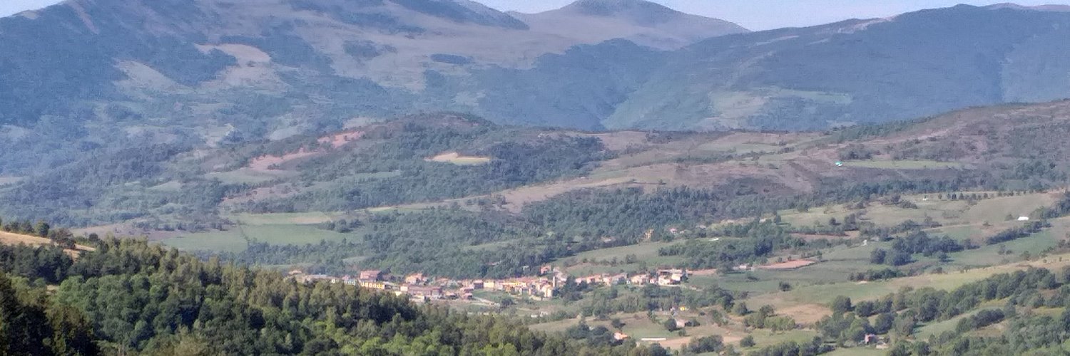 Pascale 🍉 #FreePalestine banner