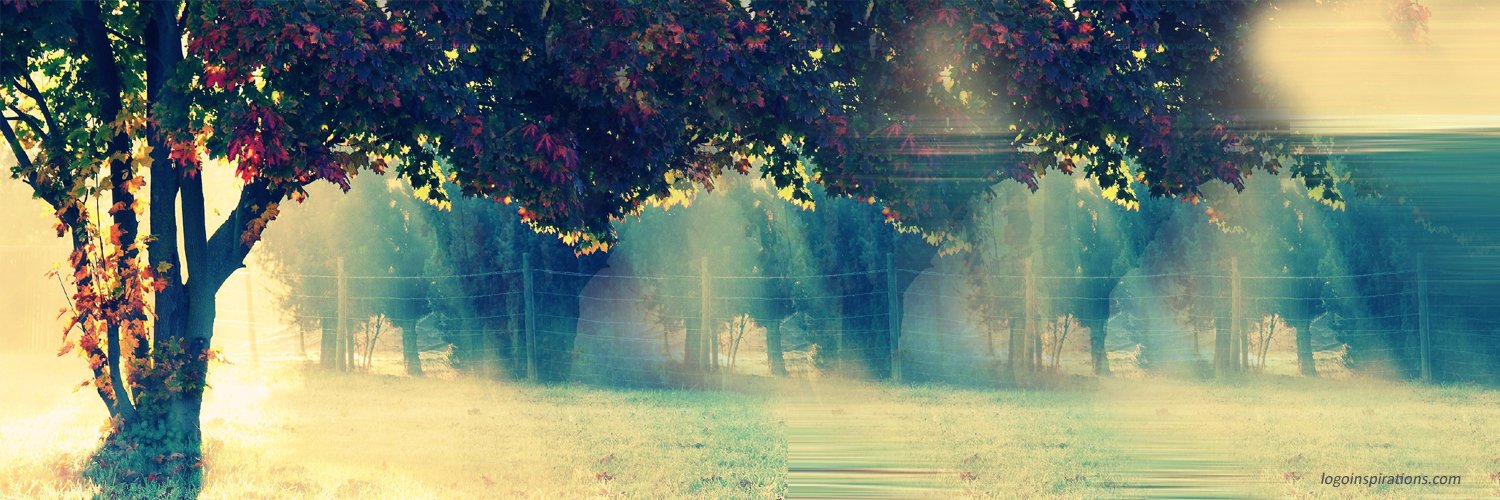 milenasavcheva's profile banner image