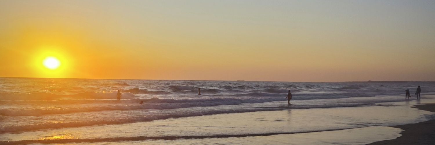 Seben D. Xebec۞ banner