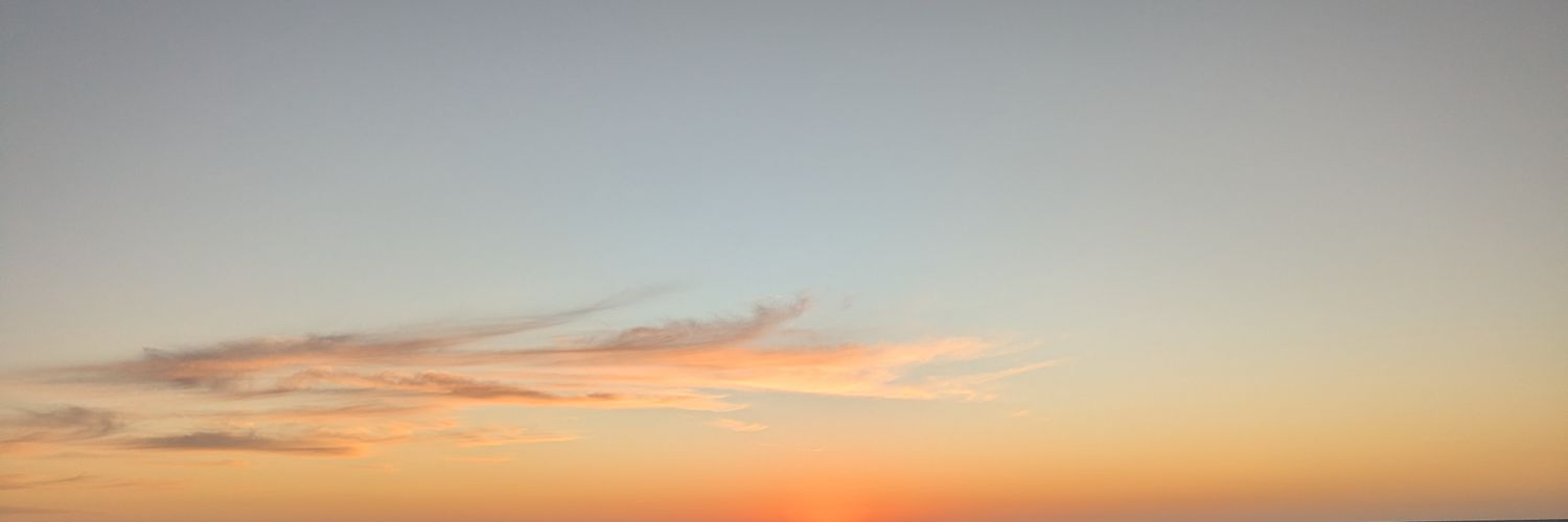 epifl0ra's profile banner image