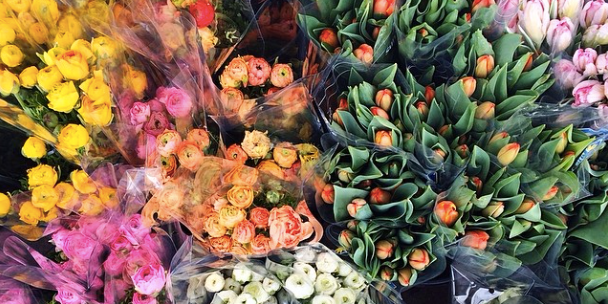 andi teggart burdullis banner