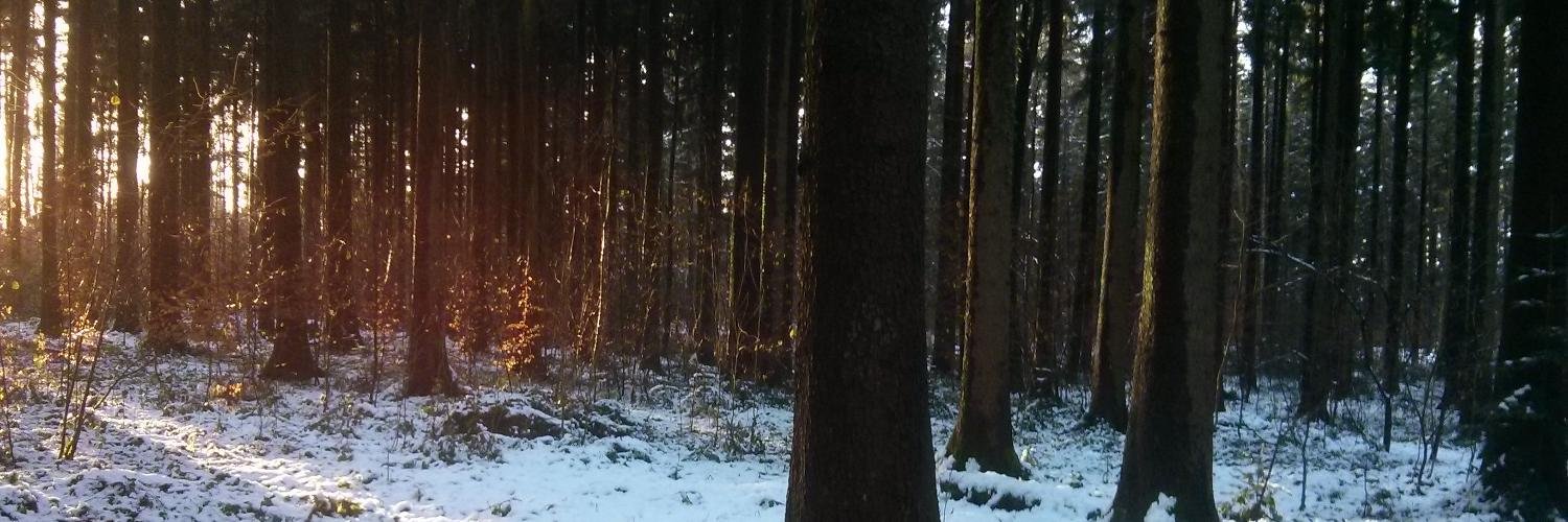 maritsch's profile banner image