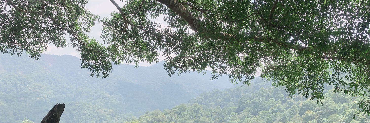 sornbill's profile banner image