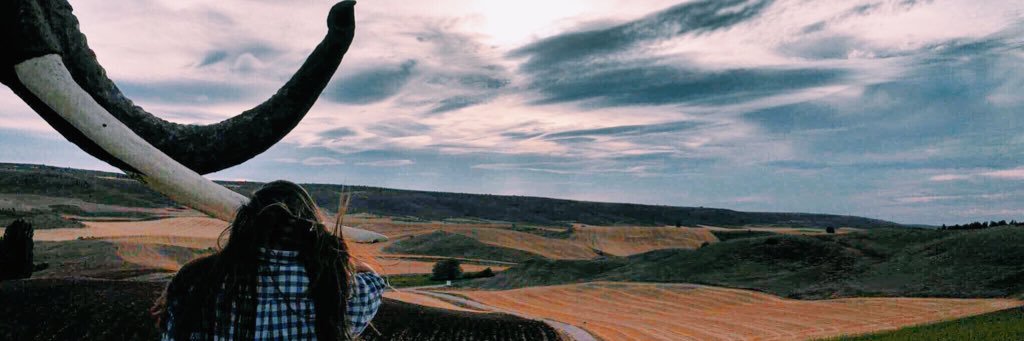 belmv_'s profile banner image