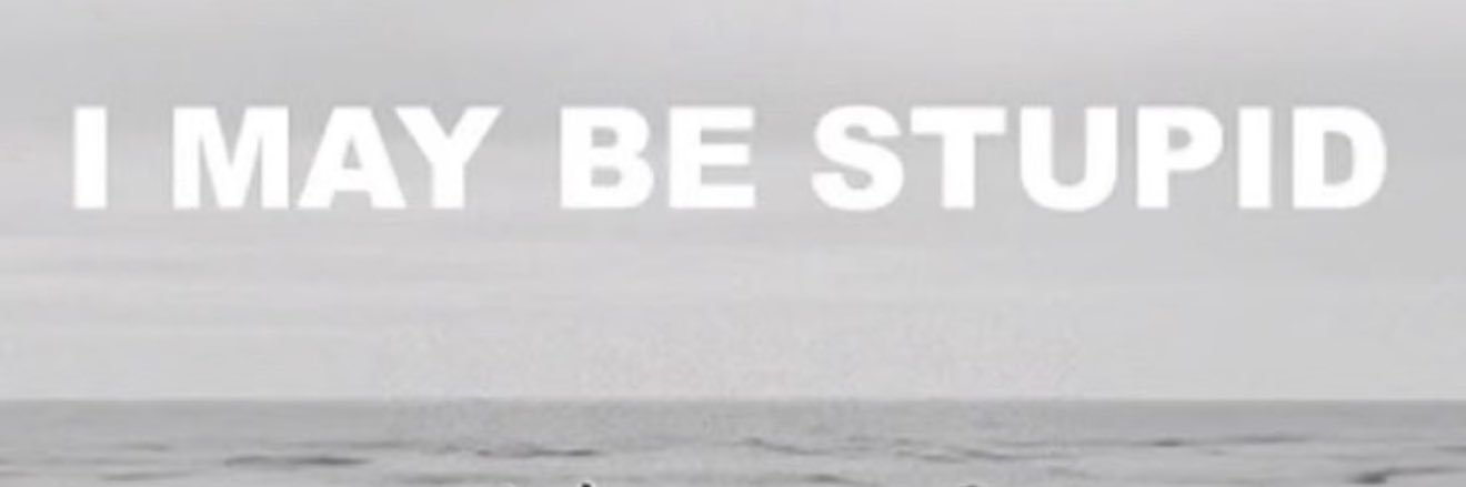傻龙's banner