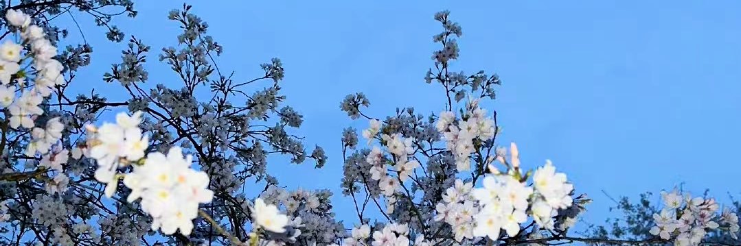 璃糖 banner