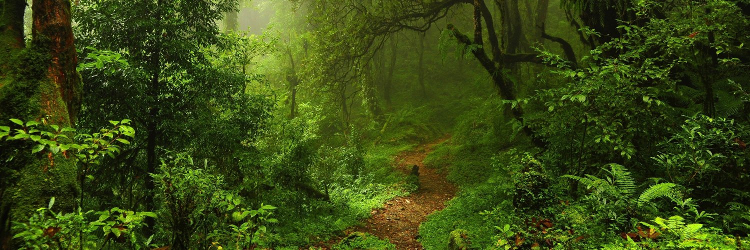 echo0fsilence banner