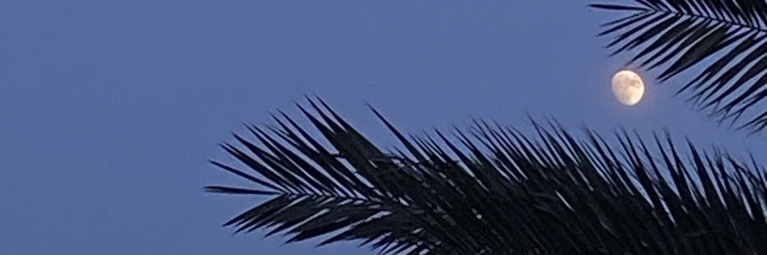 thezzisha's profile banner image