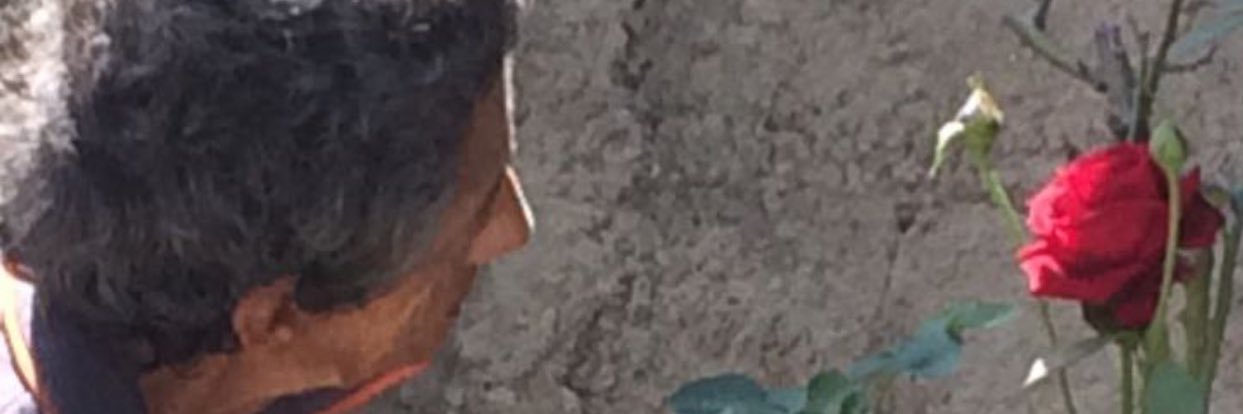 olucasarts's profile banner image