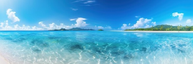 Emily Tan banner