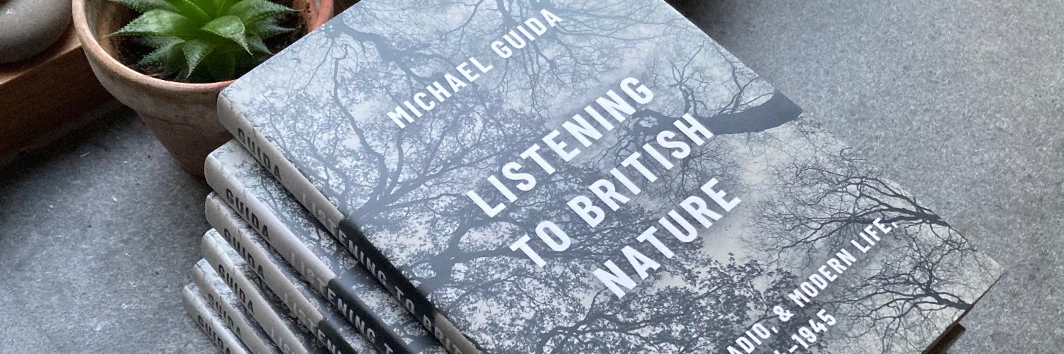 Michael Guida banner