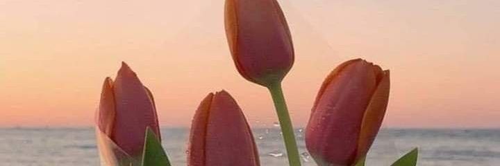 knny_7's profile banner image
