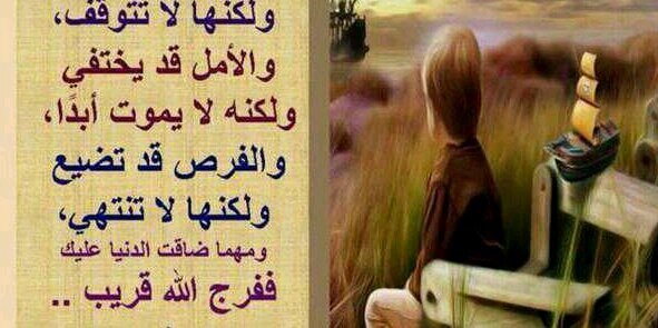 AliBoharoon156's profile banner image