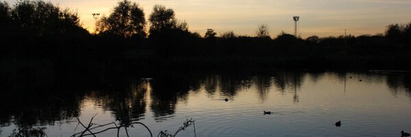 AnalogPuss Profile Banner