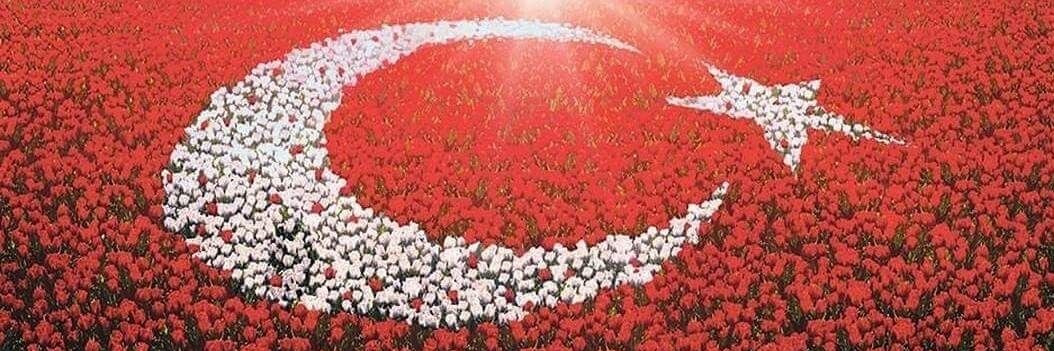 HasAmca's profile banner image