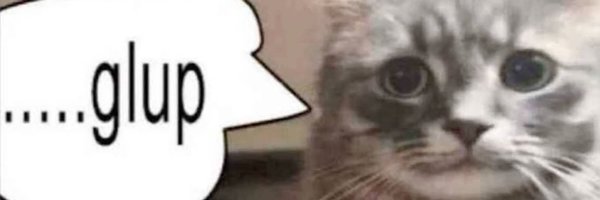 Virnim0 Profile Banner