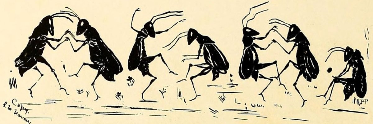 look_iza's profile banner image