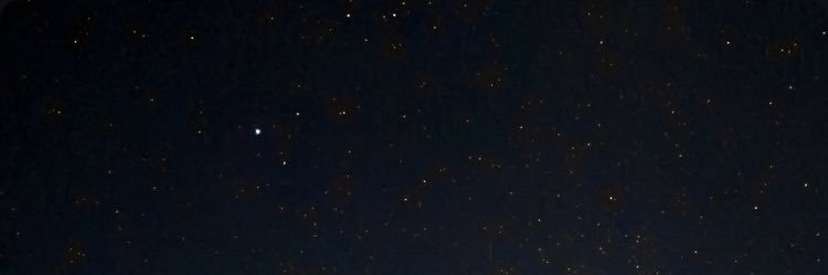 Ala 𑣿 ⋆ ｡ ˚ banner