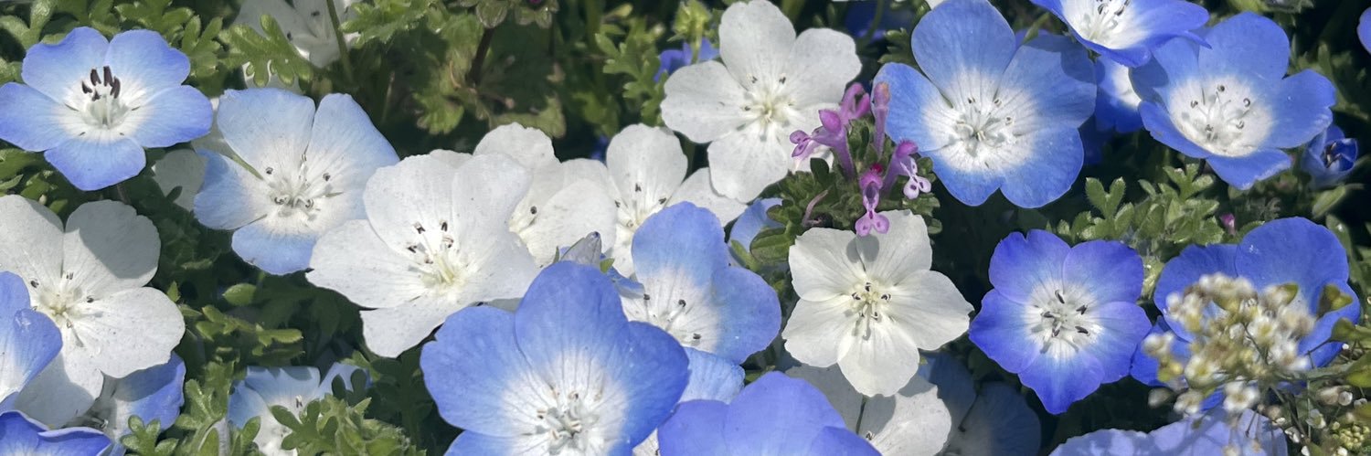 toeic_study14's profile banner image