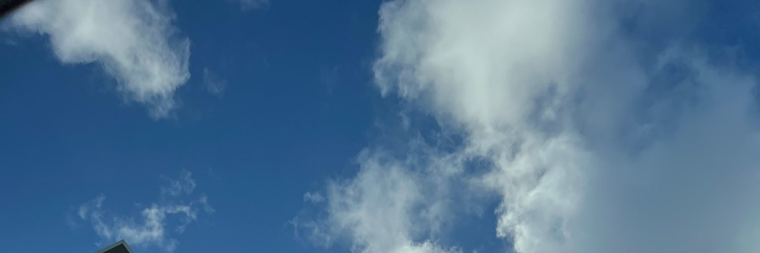 Rebeca Flores banner