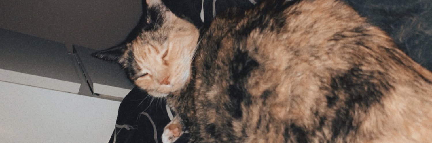 allysonfawley's profile banner image